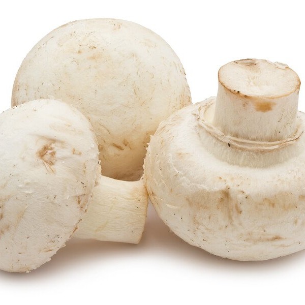 bigstock-champignon-mushrooms-55222964