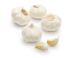 tharam garlic
